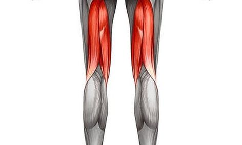 Human Anatomy And Physiology Part 4 Lower Body Muscles Small Online Class For Ages 13 18 Outschool