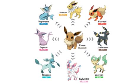 Gotta Sketch Em All Lets Draw The Pokemon Eeveelutions Pt 1 Flex Small Online Class For Ages 10 15 Outschool It took me quite some time just to collect them all on x. gotta sketch em all lets draw the pokemon eeveelutions pt 1 flex small online class for ages 10 15