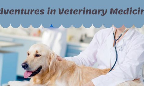 Adventures In Veterinary Medicine Help The Veterinarian Crack Her Cases Small Online Class For Ages 8 13 Outschool