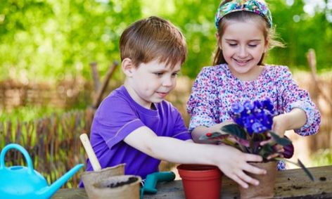 Let S Plant A Garden Small Online Class For Ages 3 6 Outschool