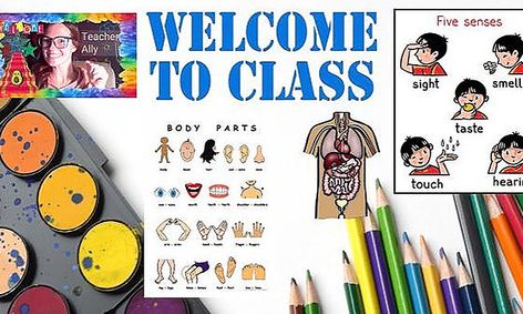 All About Me! A Human Anatomy Course | Small Online Class for Ages 4-7