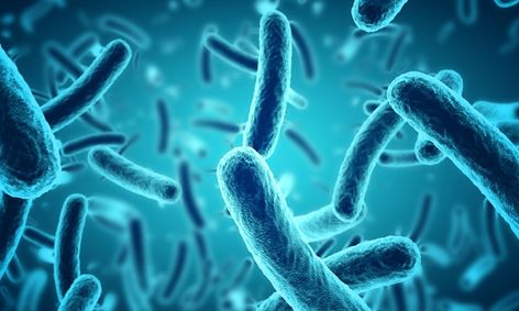The Unseen World A Journey Through Microbiology Small Online Class For Ages 8 13 Outschool