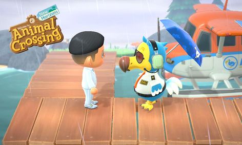 Animal Crossing New Horizons Mystery Island Expeditions Small