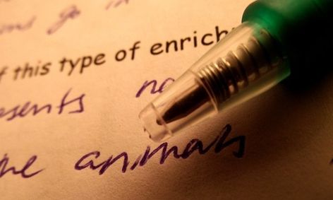 The Write Way Essay And Writing Tutoring Small Online Class For