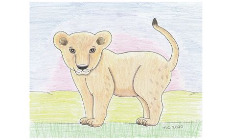 Learn To Draw Baby Animals From Around The World Small Online Class For Ages 8 13 Outschool