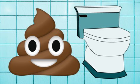 The Scoop On Poop Learn The History Of Poop And Sanitation