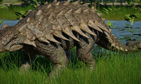 about ankylosaurus