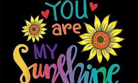 Beginner Ukulele Play Along Camp Song 2 You Are My Sunshine