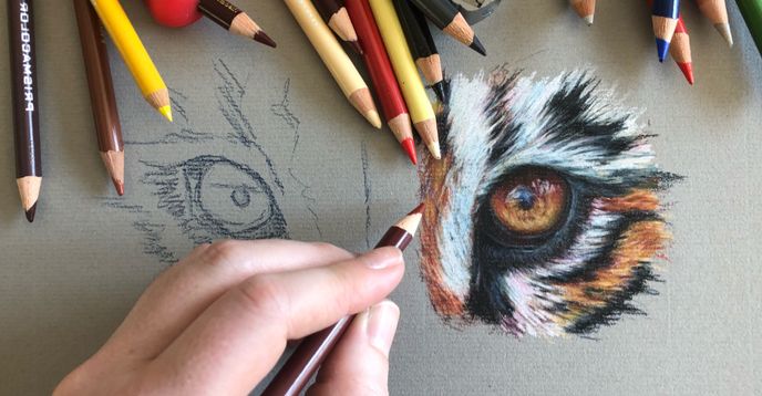 7 Cool Colored Pencil Techniques to Teach Your Students - The Art