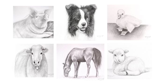 The Thinker. Pencil drawing.  Pencil drawings of animals, Pencil drawings  easy, Animal drawings