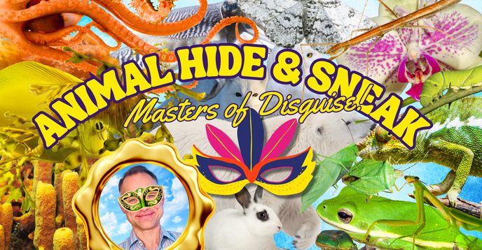 Animal Hide & Sneak: Masters of Disguise! Land, Sea & Shadows! Biology ...