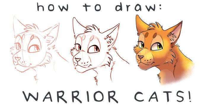 Warrior Cats Drawing - How To Draw Warrior Cats Step By Step