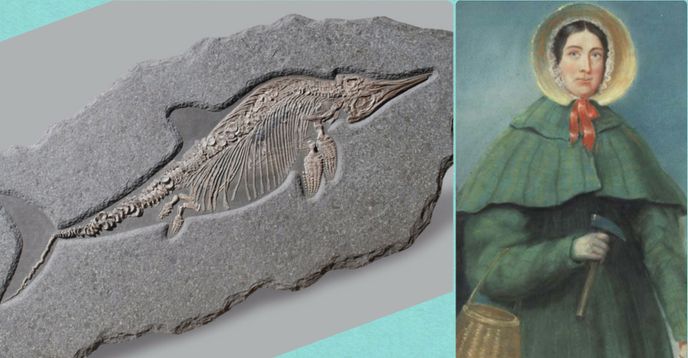 LIVE FROM THE JURRASIC COAST: FOSSILS, DINOSAURS, PREHISTORIC MARINE