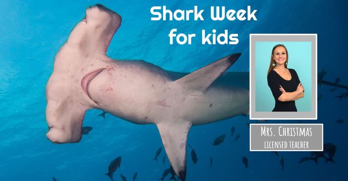 Sharks for Kids: Learn Species, Habitat, Adaptations, and More