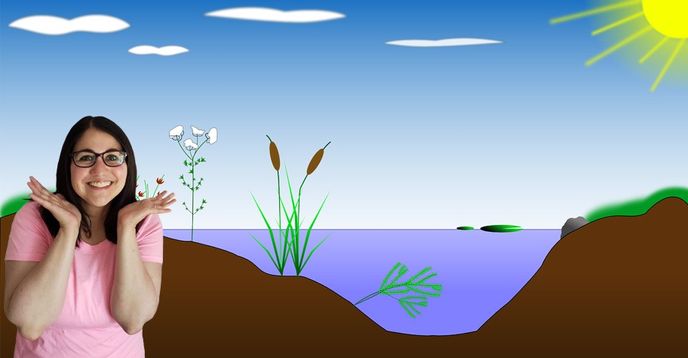 Ecosystems, Food Chains, Habitats, Oh My! Biology Diagrams