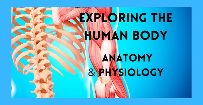 Human Body - Anatomy and Physiology of Human Body
