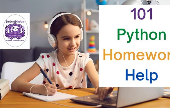 python coding homework help