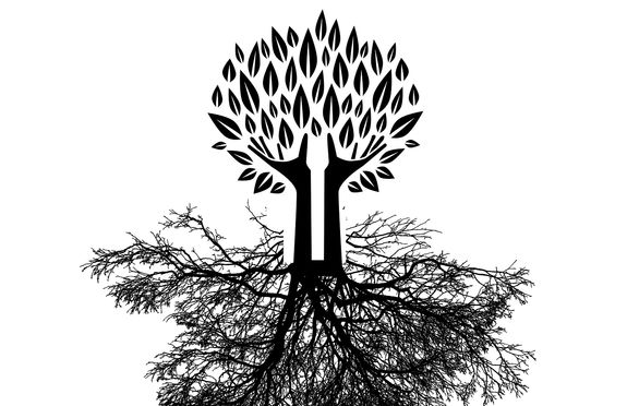 Affixes, Latin Roots and Greek Combining Forms: 01 (Flexible Schedule