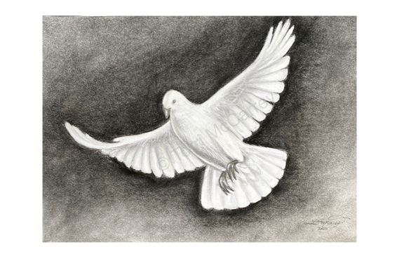 Animal Art: Pigeon Pencil Drawing | Small Online Class for Ages 9-14