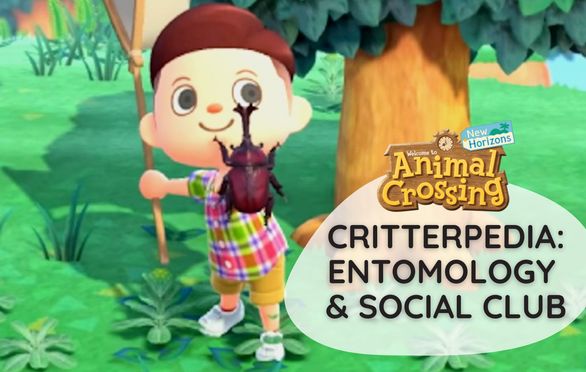 Animal Crossing Critterpedia: Entomology & Weekly Social Club | New