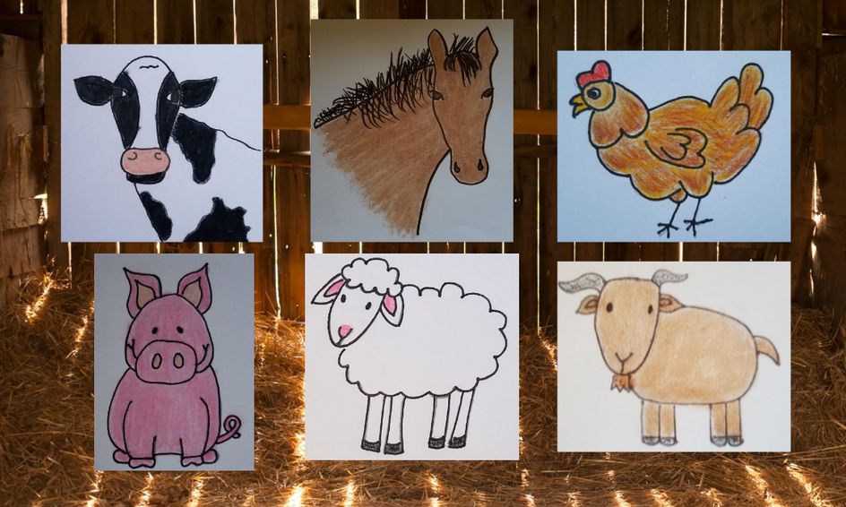 Let's Draw Farm Animals - Directed Drawing Art and Science Unit Study ...