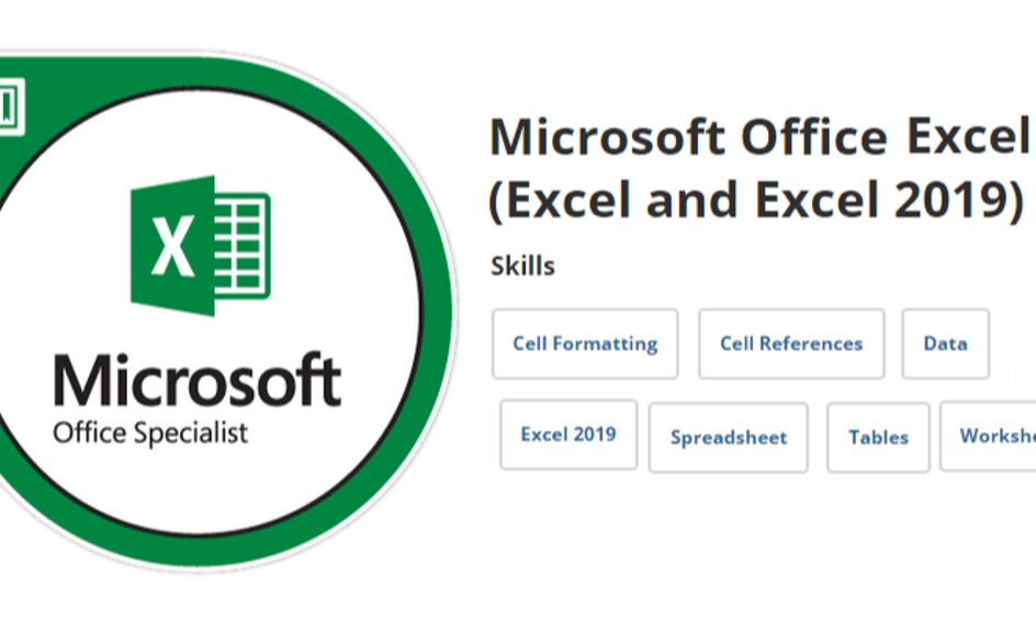 Crunching Data With Style Excel Introduction And Ms Office