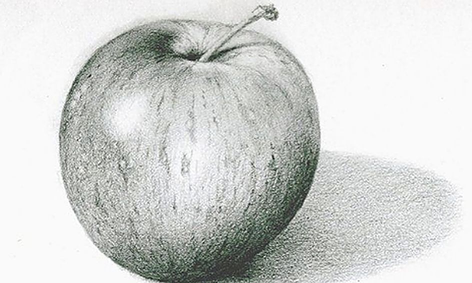 Realistic Pencil Drawing Small Online Class For Ages 9 14 Outschool Realistic apple drawing made with watercolor pencils (caran d'ache supracolor soft) and white acrylic paint. outschool