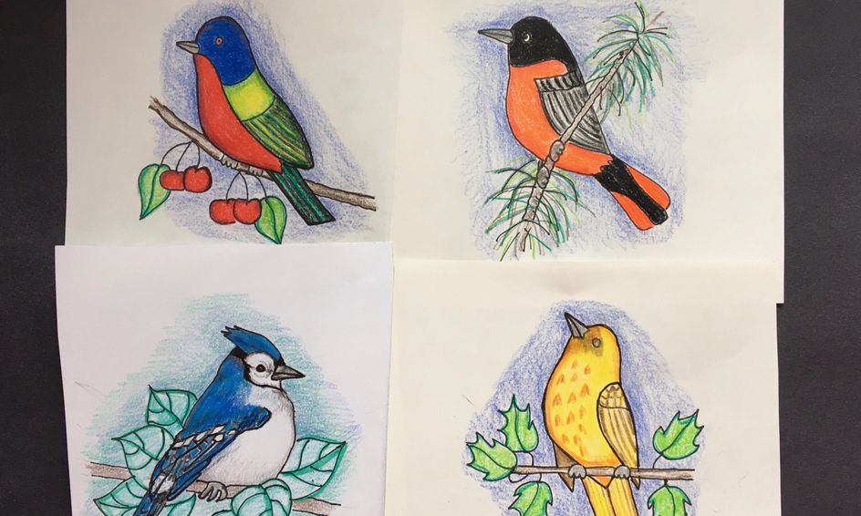 Bird Drawing Learn To Be A Nature Artist Small Online Class For Ages 7 11 Outschool Speaking of competitions, on monday i will be hosting a huge drawing competition. outschool