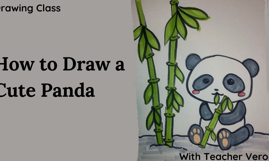 Drawing Class How To Draw A Cute Panda Small Online Class For Ages 4 9 Outschool