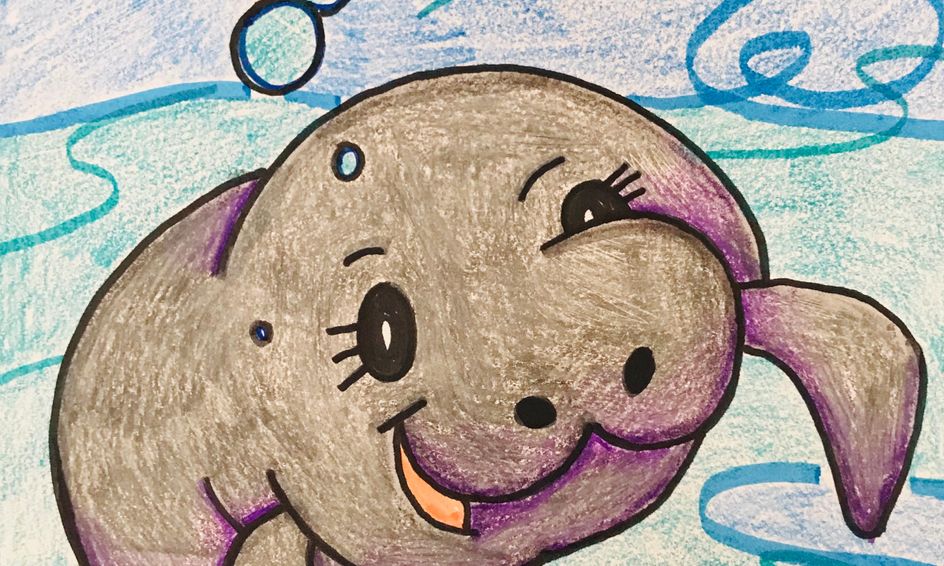 Draw It Manatee Small Online Class For Ages 7 12 Outschool