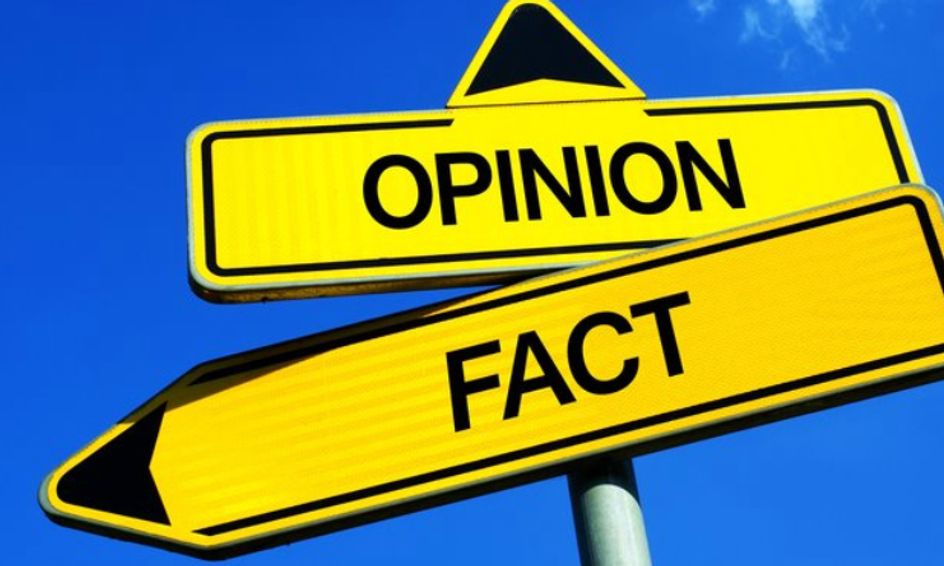 Silly Sentence Fact Vs Opinion For Young Kids Small Online