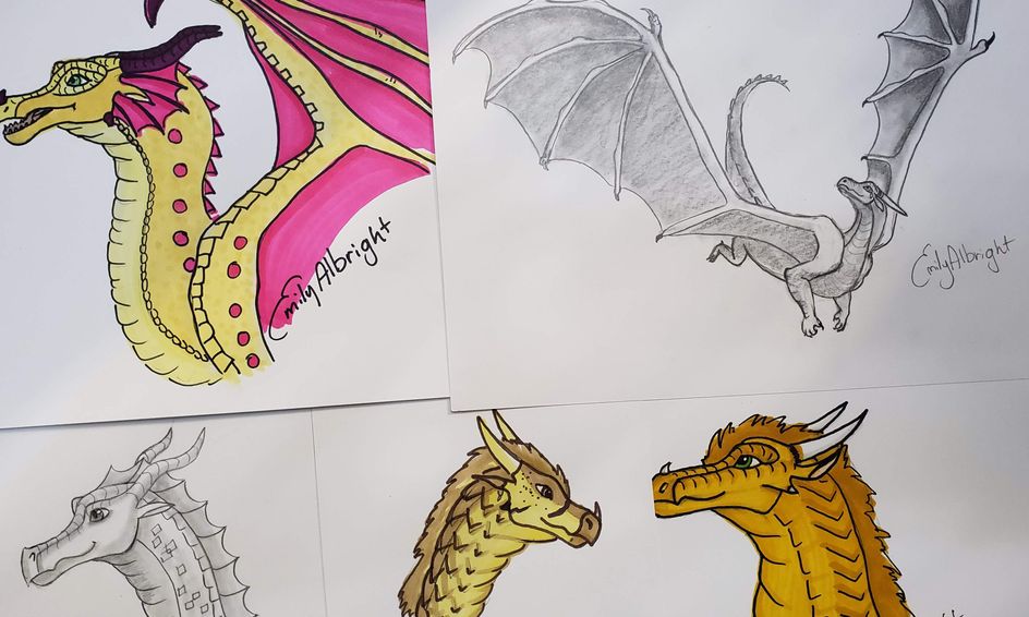 Dragon WoF Camp Draw & Learn Color Wings of Fire Dragons Create