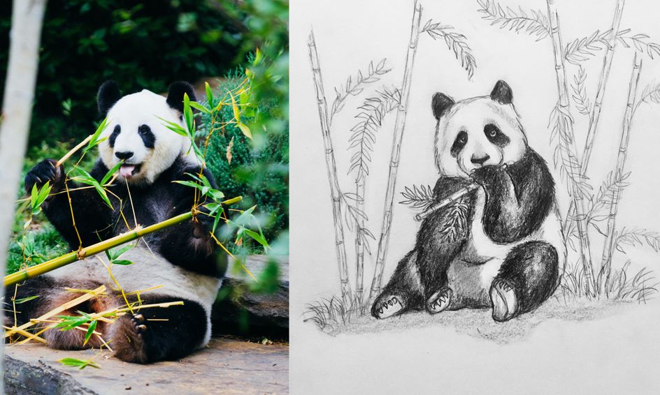 How To Draw Panda Cute Panda Eating Bamboo Easy Drawing Tutorial