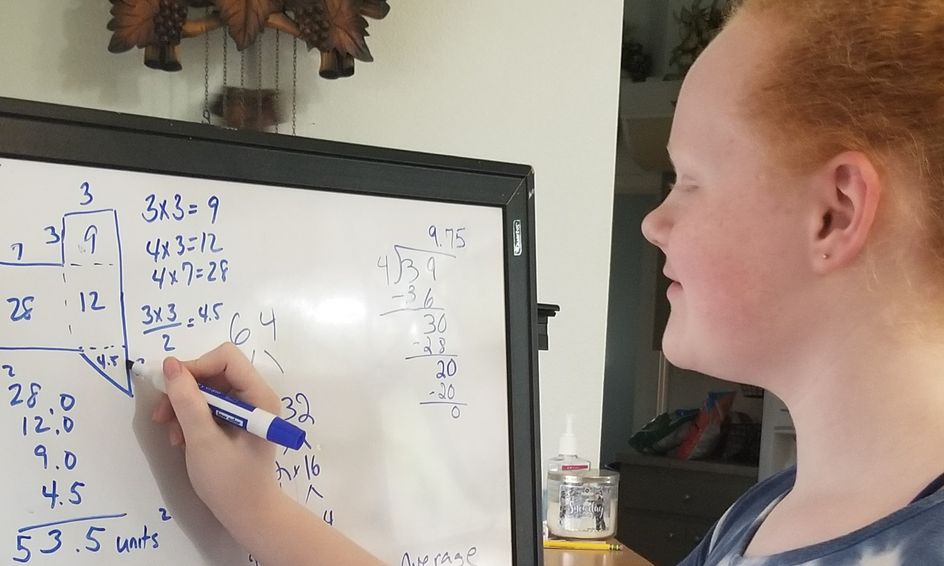 Saxon Math 6 5 Chapters 61 120 Finish Strong Small Online Class