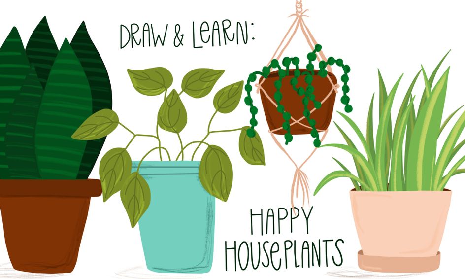 Draw And Learn Happy Houseplants Small Online Class For Ages 8 13 Outschool