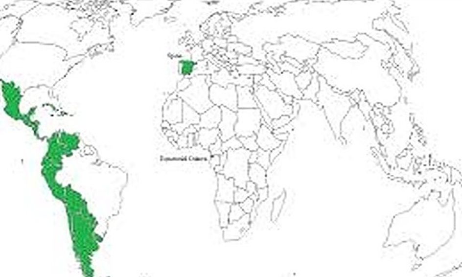 Spanish 102 Class 2 Small Online Class For Ages 12 17 Outschool