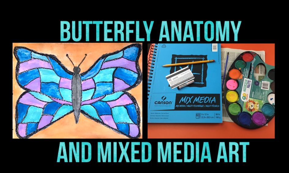 The Butterfly Science Symmetry Mixed Media Art Oil Pastels