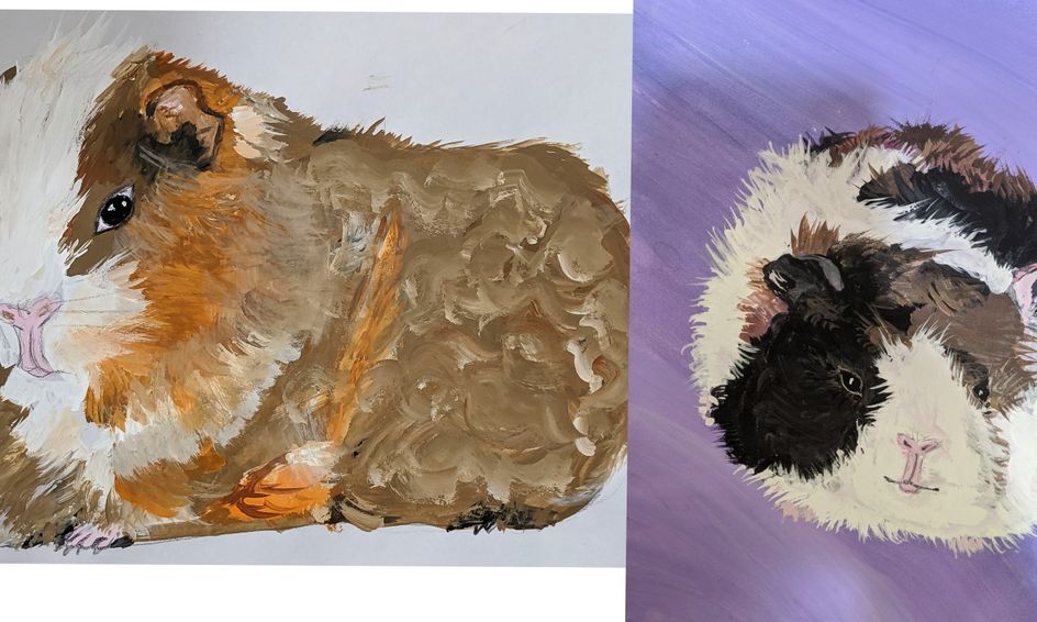 Guinea Pig Art Small Online Class For Ages 8 12 Outschool