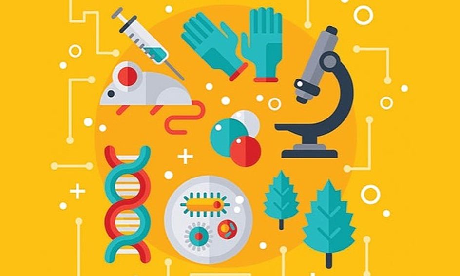 Individual Life Science Biology Tutoring Small Online Class For