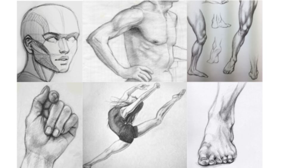 8 Week Art Camp Pencil Sketching Series Figure Drawing Anatomy Small Online Class For Ages 9 14 Outschool