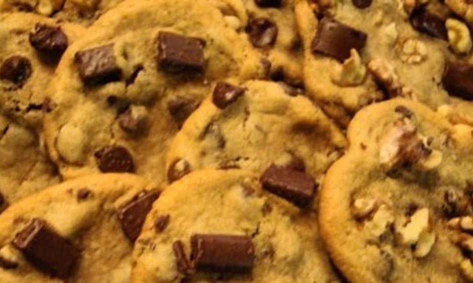 Quest For The Best Chocolate Chip Cookie Camp Small Online