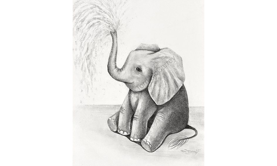 Animal Drawing Cute Baby Elephant Sketch Small Online Class For Ages 10 15 Outschool