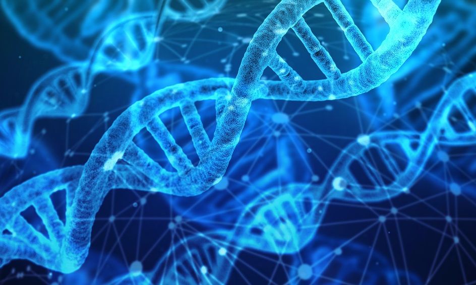 Ap Biology Camp Part 3 Genetics Small Online Class For Ages 14