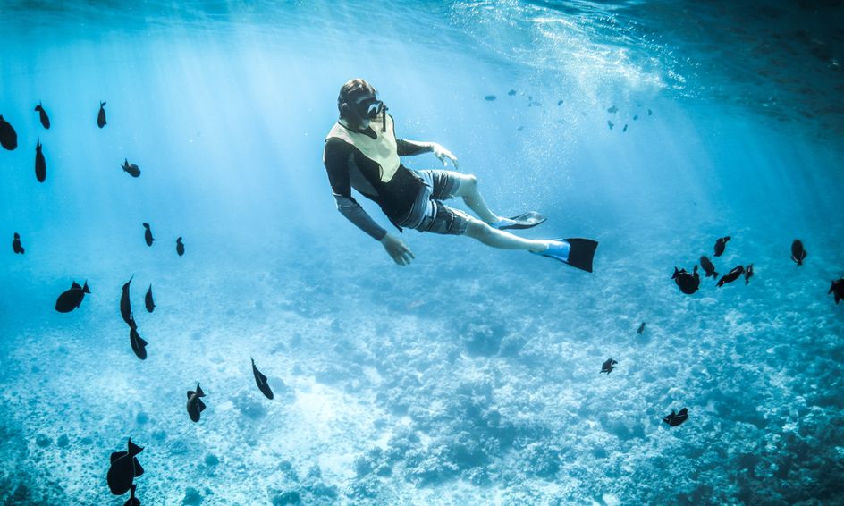 Marine Science Project Consortium Flex Small Online Class For
