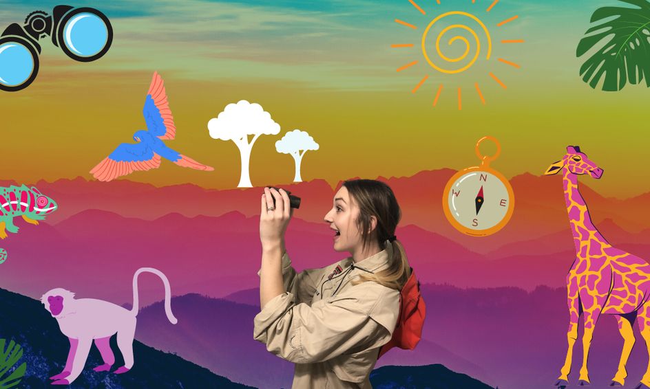Alphabet Safari Let S Walk Through The Jungle Small Online Class For Ages 3 5 Outschool