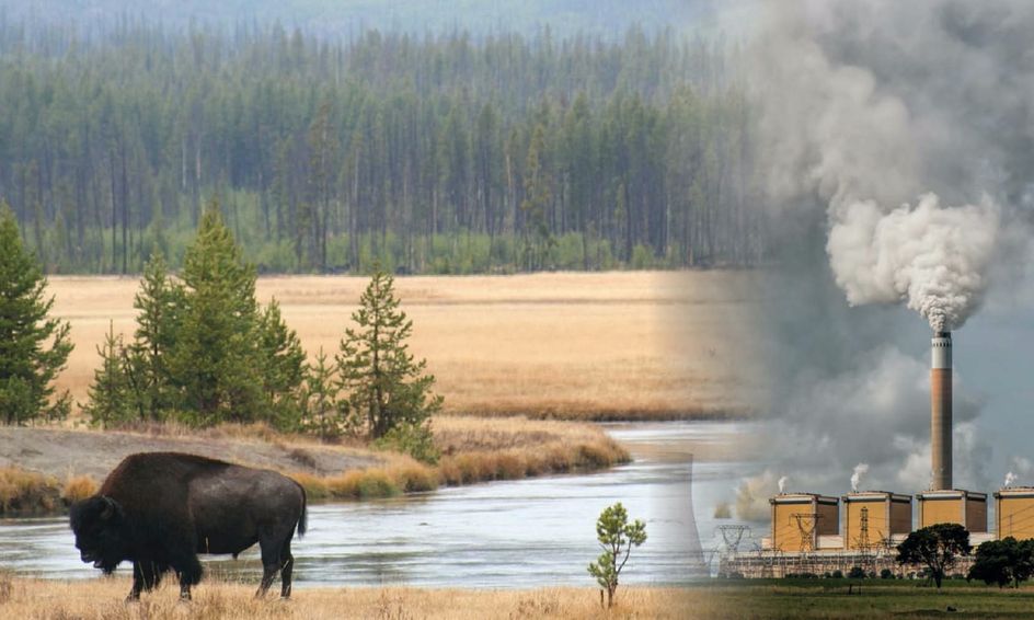 Introduction To Environmental Science Small Online Class For