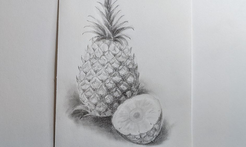 Pineapple Drawing Pencil Shading Small Online Class For Ages 9 14 Outschool