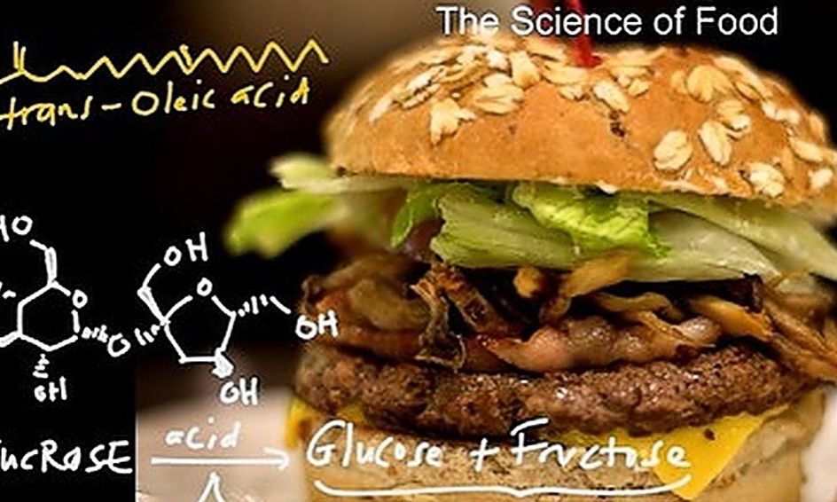 Edible Biochemistry The Science Behind Food Small Online Class