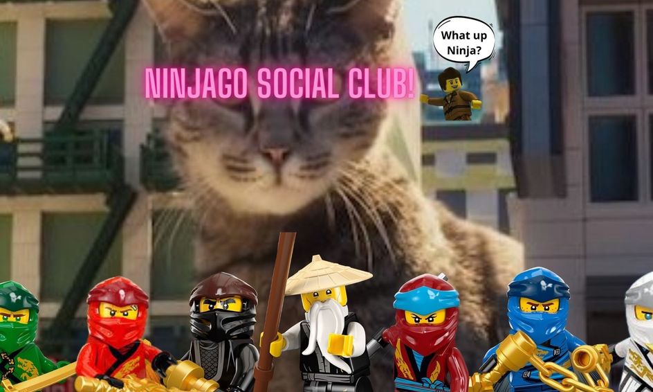 Ninjago Social Club Chat About All Things Ninjago Trivia History Fun Small Online Class For Ages 6 10 Outschool