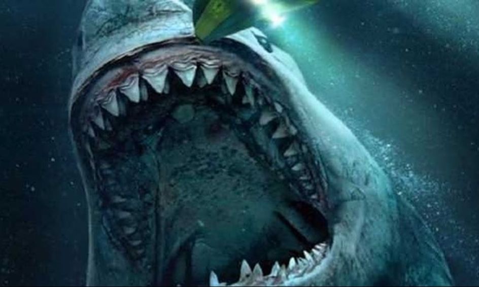 Prehistoric Titans A Beginners Guide To Megalodon Titanoboa And Sarcosuchus Small Online Class For Ages 8 12 Outschool Who do you think would win? prehistoric titans a beginners guide to megalodon titanoboa and sarcosuchus small online class for ages 8 12